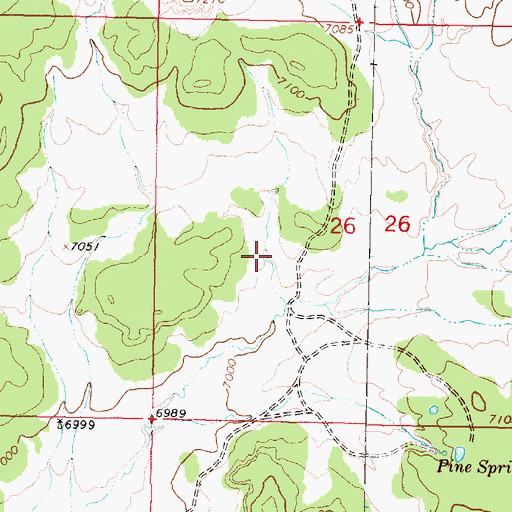 Topographic Map of Taylor, NM