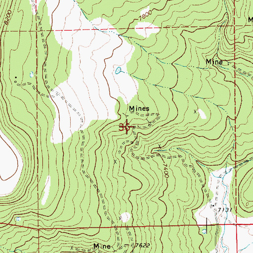 Topographic Map of New Yankee Number 4 Claim, NM