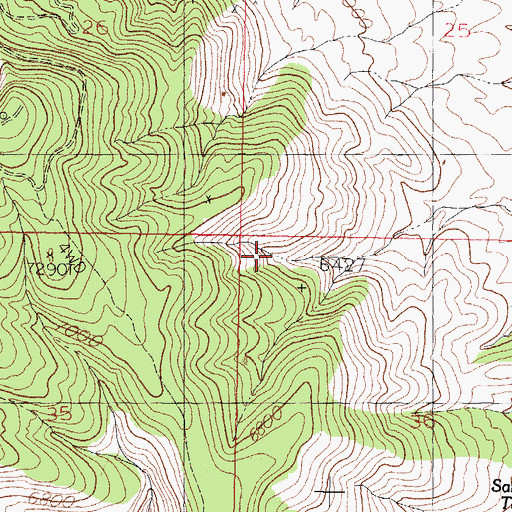 Topographic Map of Mary Jane Prospect, NM