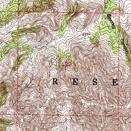 Topographic Map of Rucker Canyon, NM
