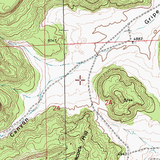 Topographic Map of Peacock Canyon Prospects, NM