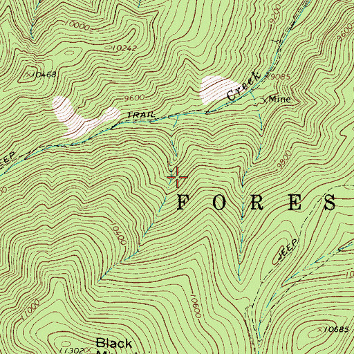 Topographic Map of Stella Prospect, NM