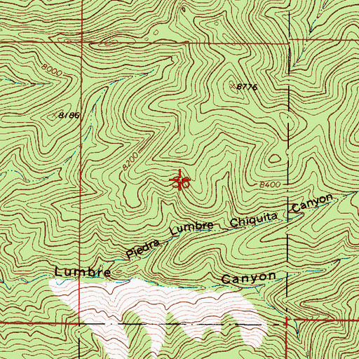 Topographic Map of Paul Burch Pegmatite, NM