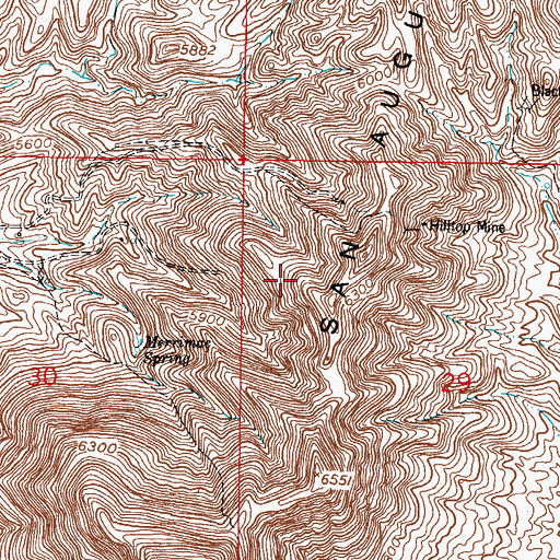 Topographic Map of Rickardite, NM
