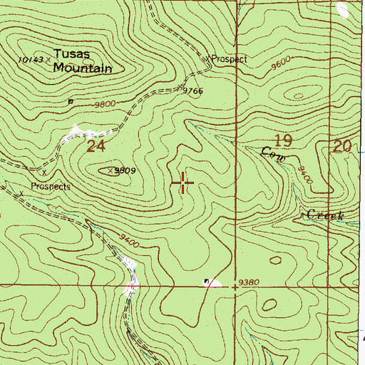 Topographic Map of King Richard Prospect, NM