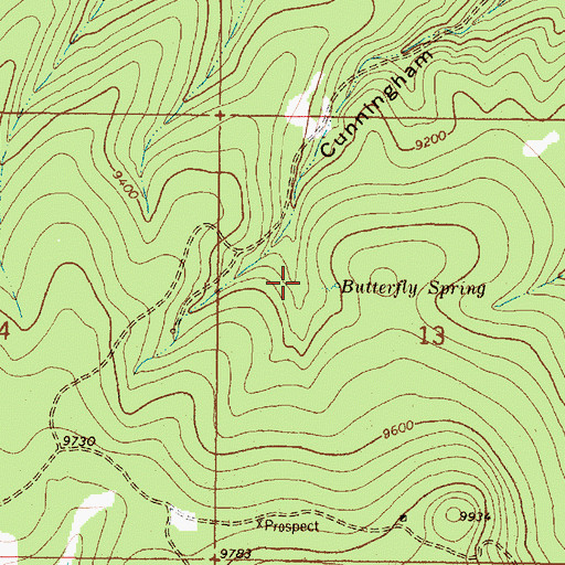 Topographic Map of War Eagle Prospect, NM