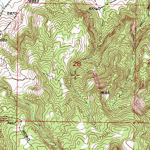 Topographic Map of Wasson, NM