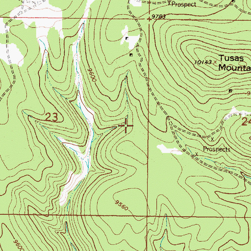 Topographic Map of Snow Flake Prospect, NM