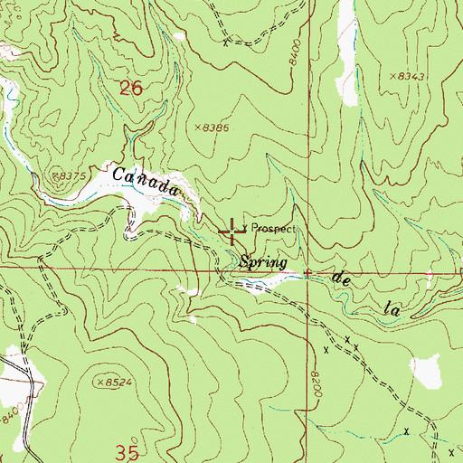 Topographic Map of Trail Prospect Pits, NM