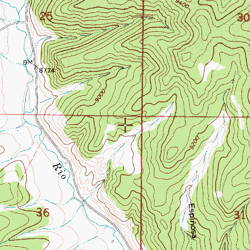 Topographic Map of Union Lode, NM