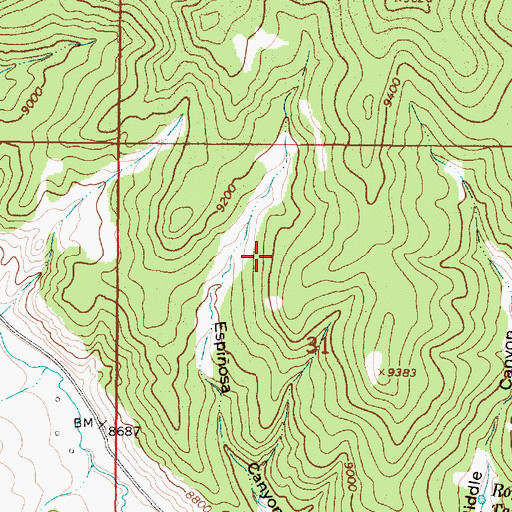 Topographic Map of Black Hawk Claim, NM