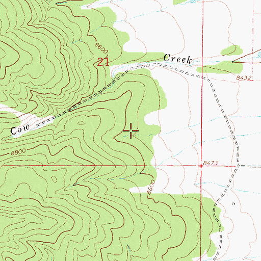 Topographic Map of Milwaukee Belle Prospect, NM
