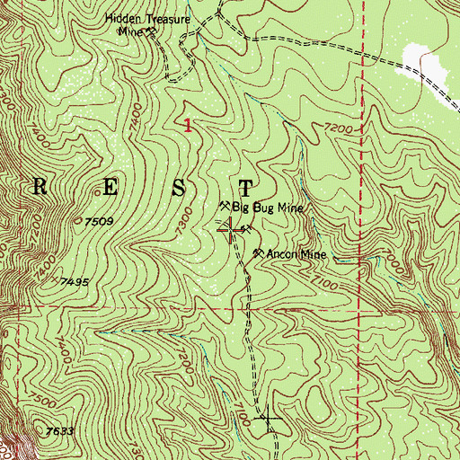 Topographic Map of Big Bug, NM