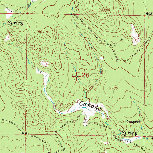 Topographic Map of Alma, NM
