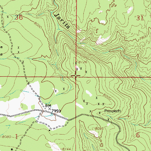 Topographic Map of Mary, NM