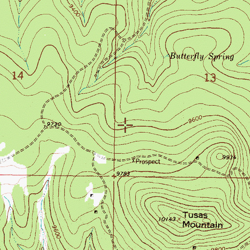 Topographic Map of Wedge Prospect, NM