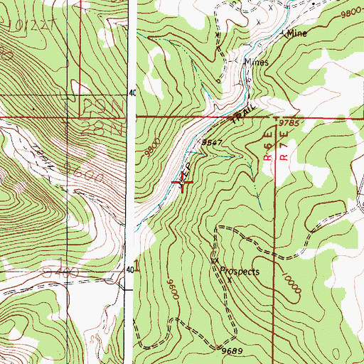 Topographic Map of Lower Flat Placer, NM