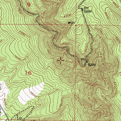 Topographic Map of Freeland, NM