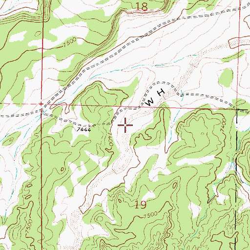 Topographic Map of Red Basin Deposit, NM