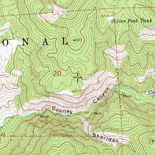 Topographic Map of Old Tom Lode, NM