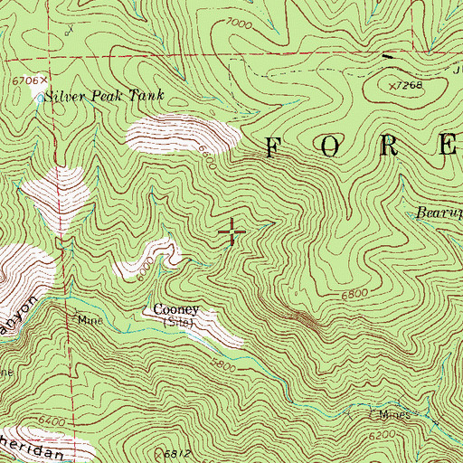 Topographic Map of Phyllis, NM