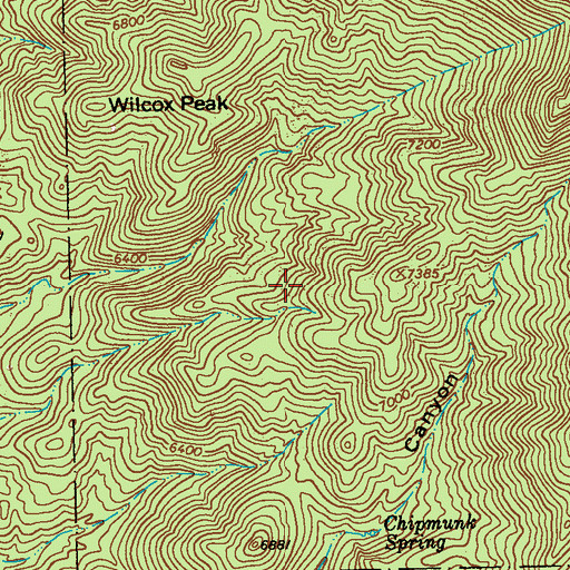 Topographic Map of Wilcox Prospects, NM