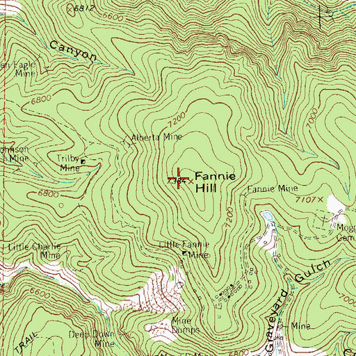 Topographic Map of Virginina Lode, NM