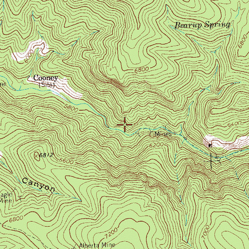 Topographic Map of Leap Year Lode, NM
