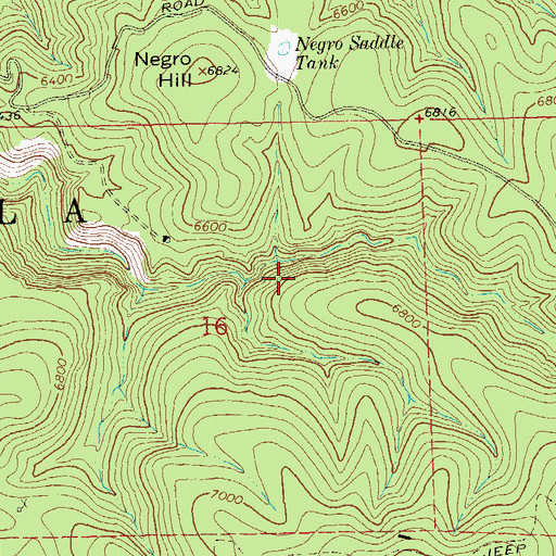 Topographic Map of Golden Bar Lode B, NM