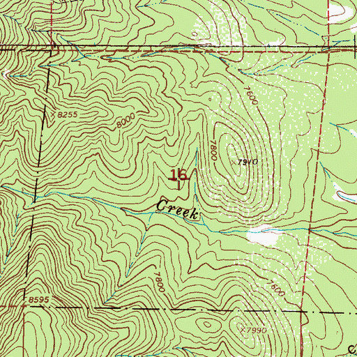 Topographic Map of Guys Nickel Claims, NM