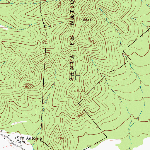 Topographic Map of Loring Mine, NM