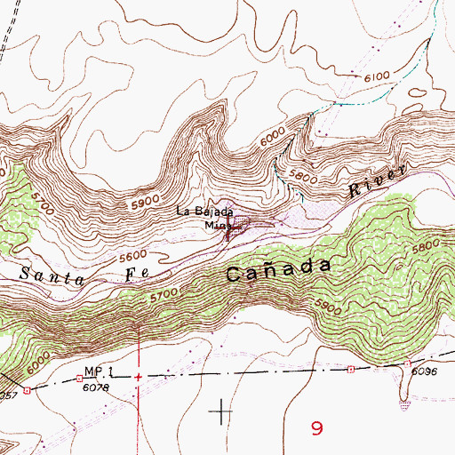 Topographic Map of Lone Star Mine, NM