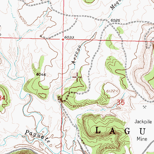 Topographic Map of Wind Whip, NM