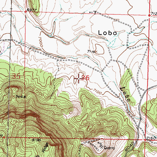 Topographic Map of Turkey Springs Pit, NM
