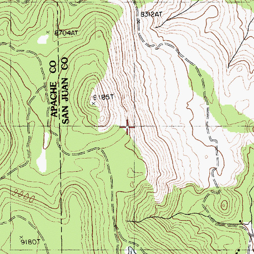 Topographic Map of Bee Sho Shee Mine, NM
