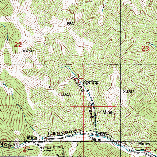 Topographic Map of Couger Mine, NM