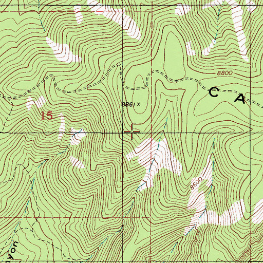 Topographic Map of Pinie Claims, NM