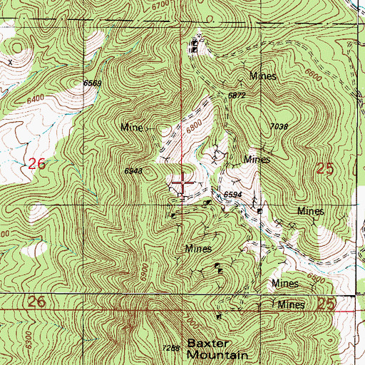 Topographic Map of Rita Mine, NM
