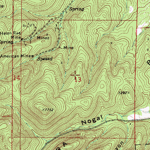 Topographic Map of Rochelle, NM