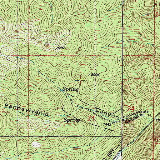 Topographic Map of Rochford Claims, NM