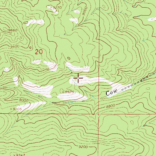 Topographic Map of Roosevelt Prospect, NM