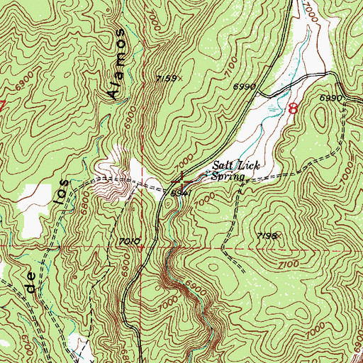 Topographic Map of Salt Lick, NM