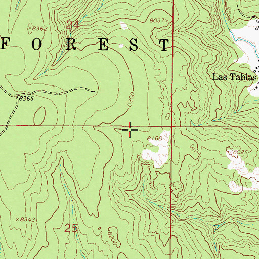 Topographic Map of Silver Spur, NM