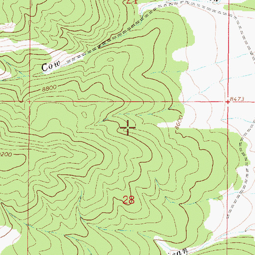Topographic Map of Star Prospect, NM