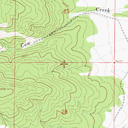 Topographic Map of Texas, NM