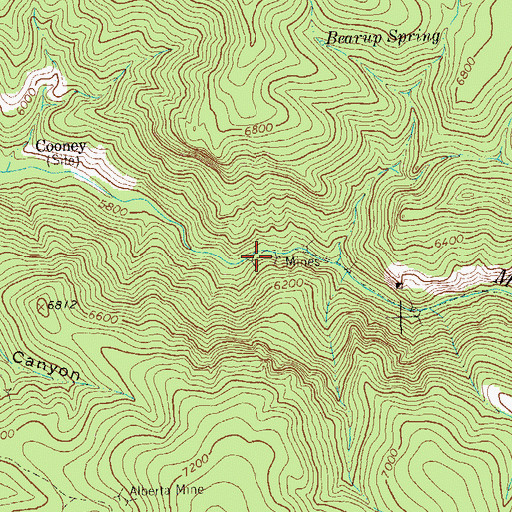 Topographic Map of Cooney Mine, NM