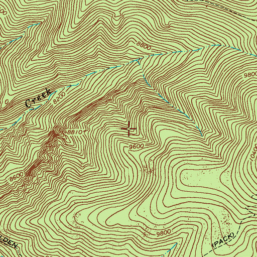 Topographic Map of Spruce Creek Workings, NM