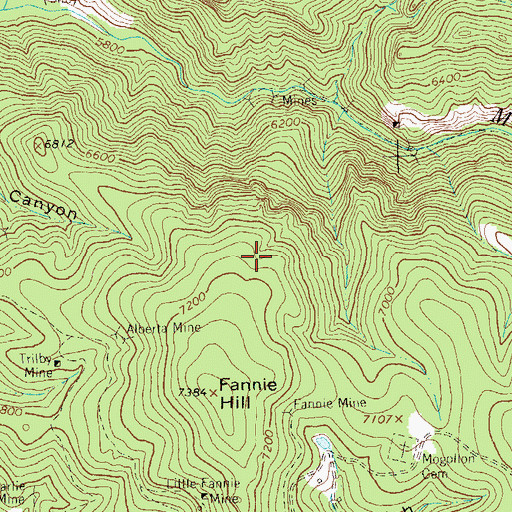 Topographic Map of Silver Fountain Lode, NM