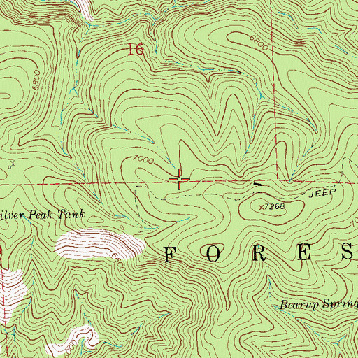 Topographic Map of Buffalo and Mountain View Prospect, NM
