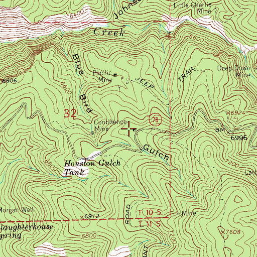 Topographic Map of Blackbird Lode, NM